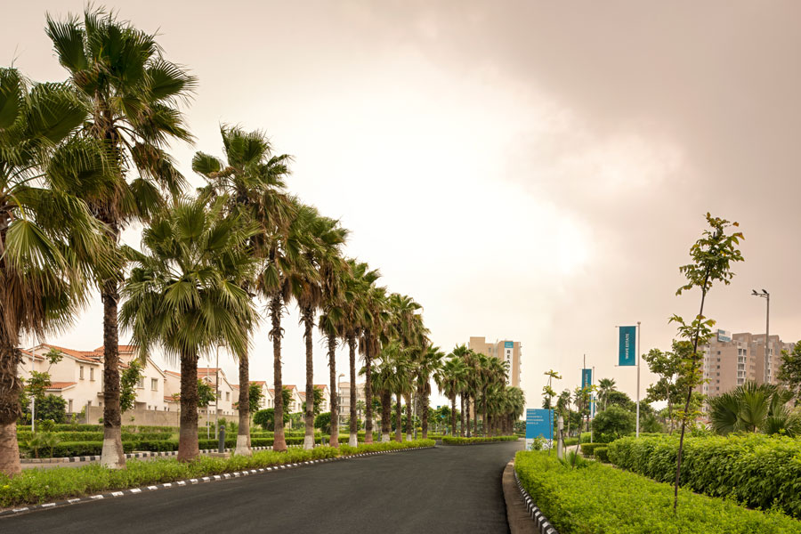 Projects that Promise High ROI in Noida