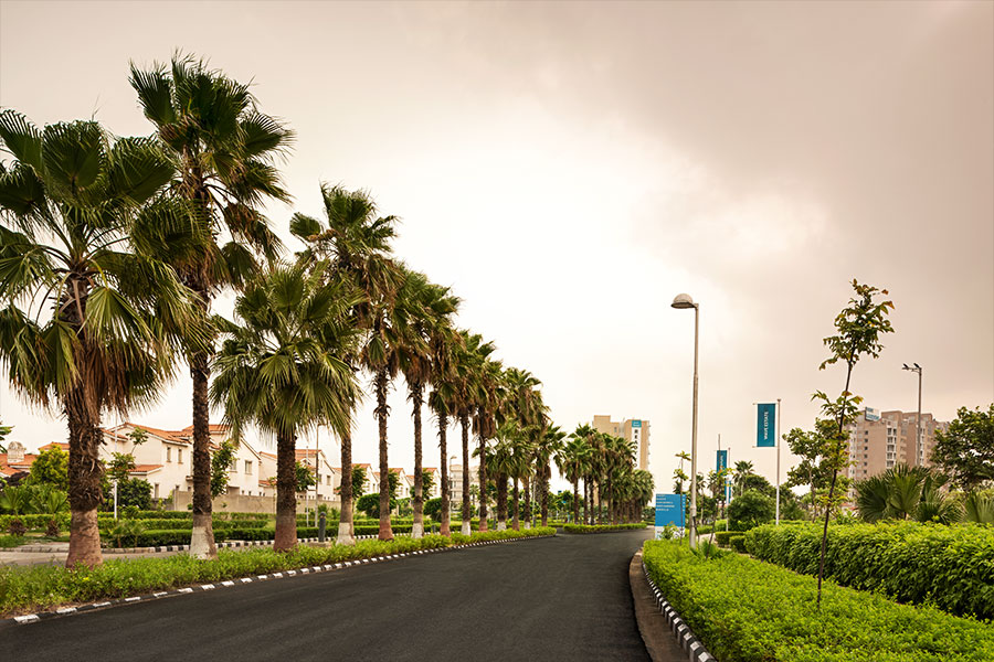 Projects that Promise High ROI in Noida